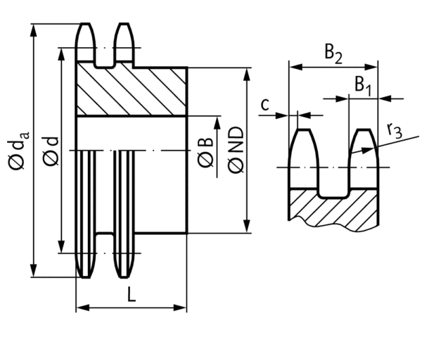 Double-strand sprocket ZRG with hub   12 B-2   3/4x7/16"   8 teeth   material steel   teeth induction hardened SKU: 12788108 - Image 2