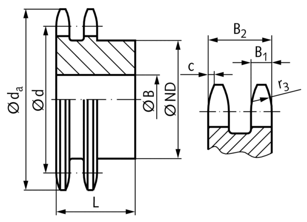 Double-strand sprocket ZRR with hub   10 B-2   5/8x3/8"   25 teeth   material stainless steel 1.4301 (AISI 304) SKU: 12699125 - Image 2