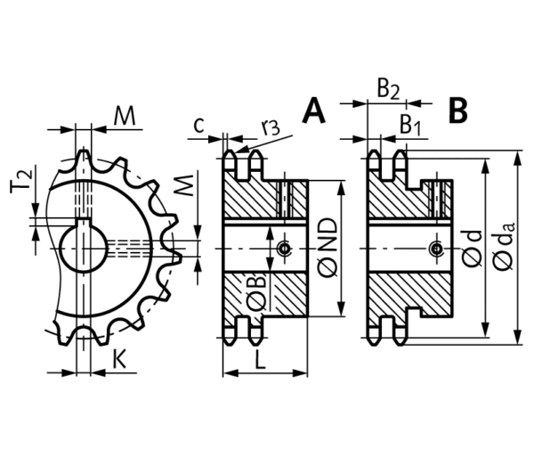 Double-strand sprocket ZRF with hub   10 B-2   18 teeth   material steel   bore 30H7   keyway DIN 6885/1   2 set screw threads   teeth induction hardened SKU: 12681830 - Image 2